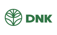 Промокоды DNK купить